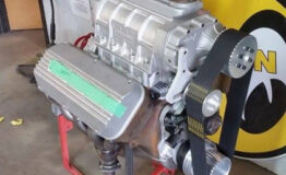 11023816_10202522135974789_8299378419640975304_n