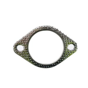 Gasket Flange - Coyote