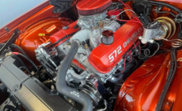 213794944_221476283313261_5776305700232438717_n