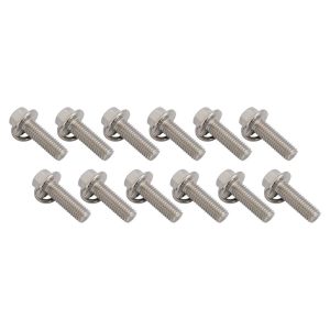 Proflow Header Bolts, Hex Head, M8 x 1.25 mm x 25mm Length, Stainless Steel, For Chev/Holden LS Engine, Set of 12